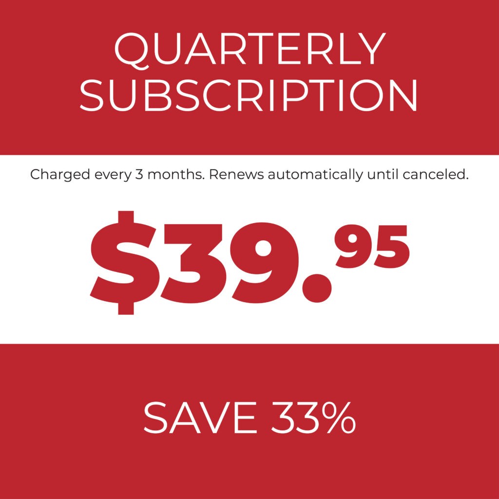 Unlock All Courses with Our 3 Month Subscription Plan