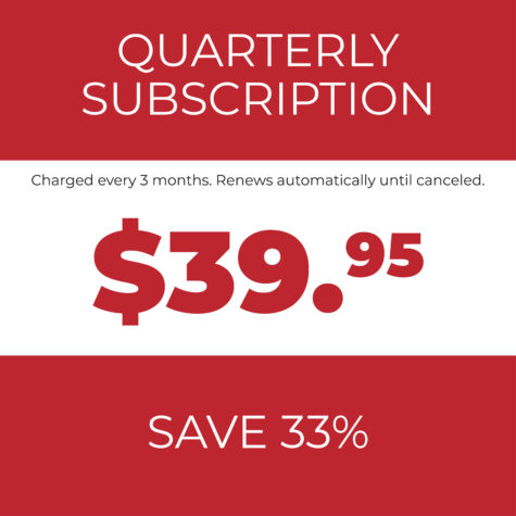 Unlock All Courses with Our 3 Month Subscription Plan