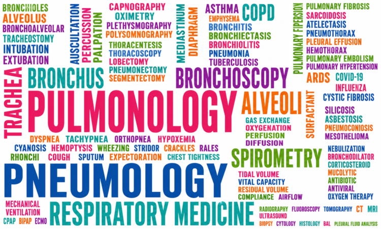 Medical Terminology: Decoding the Language of Healthcare (FREE COURSE)